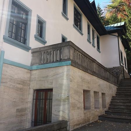 Hotel Tantzi Sinaia Eksteriør billede