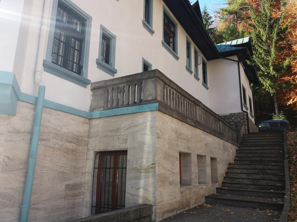 Hotel Tantzi Sinaia Eksteriør billede