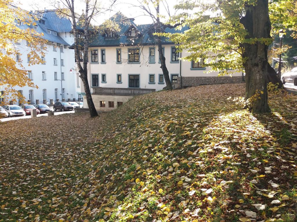 Hotel Tantzi Sinaia Eksteriør billede